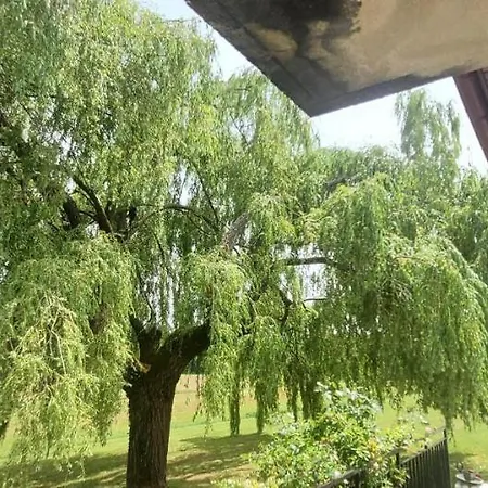 Sleeps 8 With Pool And Pet-friendly *
