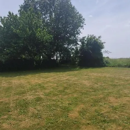 Sleeps 8 With Pool And Pet-friendly Holiday home