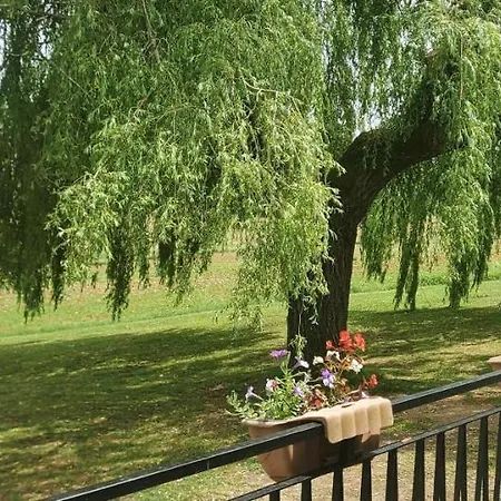 Sleeps 8 With Pool And Pet-friendly Laussou